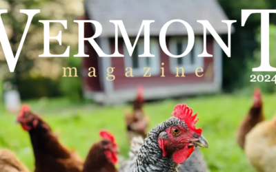 Vermont Magazine – Summer 2024 – Vermont Voices: Matt Quinn and Summer Lineup